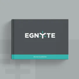 Egnyte